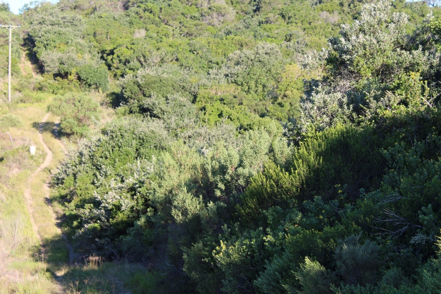 0 Bedroom Property for Sale in Kleinemonde Eastern Cape